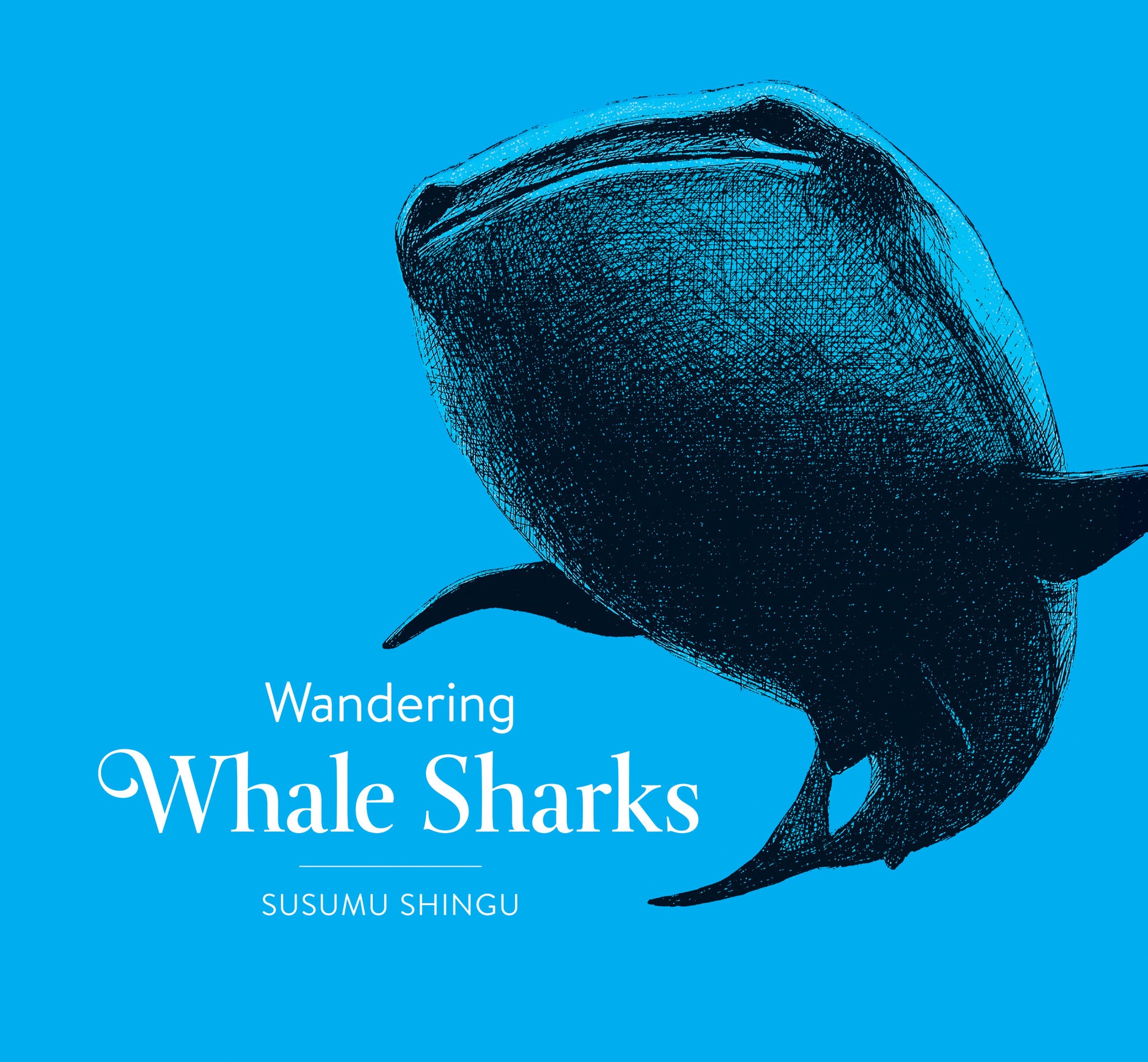Wandering Whale Sharks - Owlkids - Reading for kids and literacy resources for parents made fun. Books helping kids to learn.