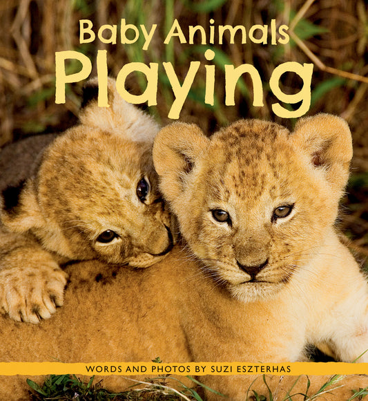 Baby Animals Playing