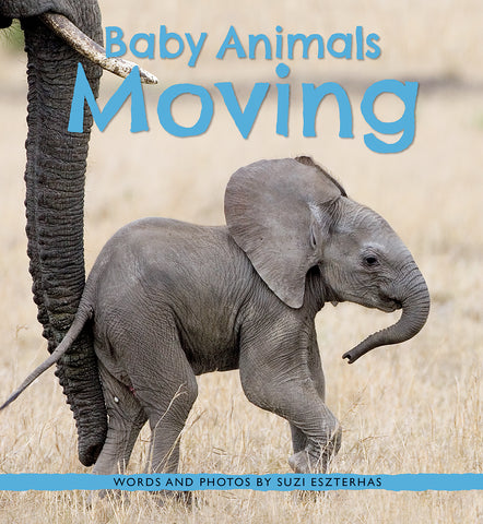 Baby Animals Moving