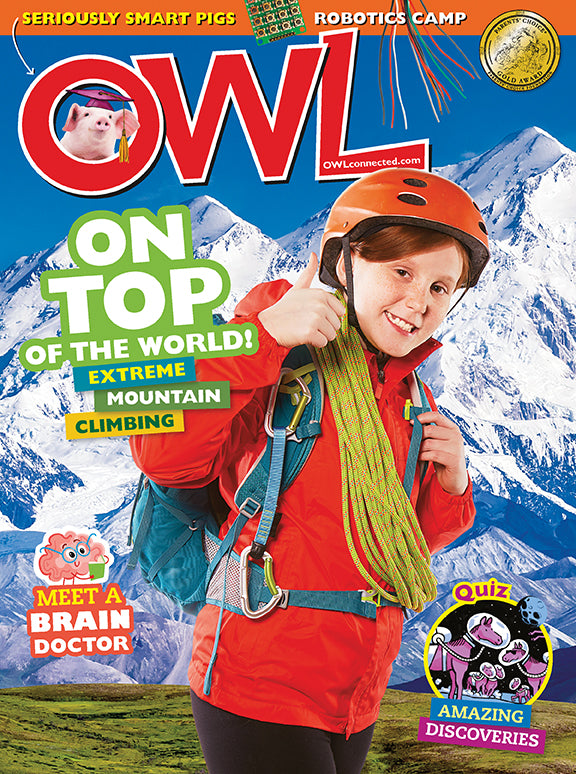 OWL Magazine - March 2019